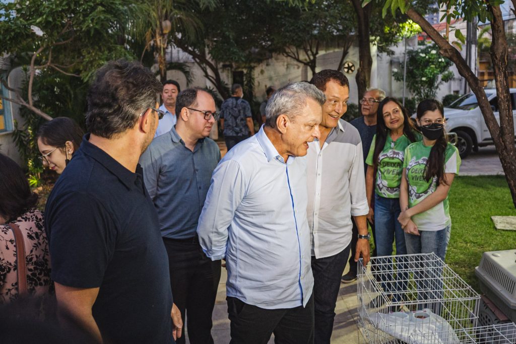 Pet Friendly No Estoril (12)