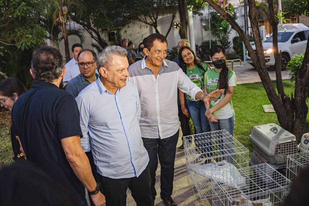 Pet Friendly No Estoril (13)