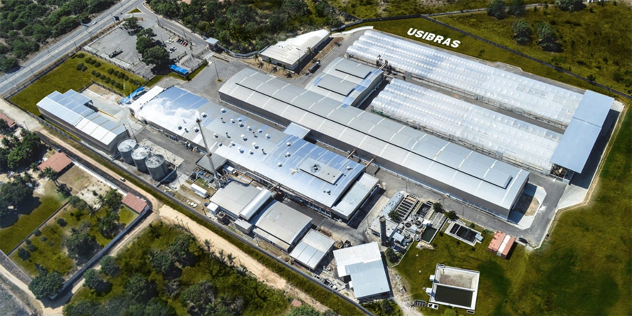 Usibras compra 50% da foodtech Cajueiro e entra no segmento de bebidas vegetais