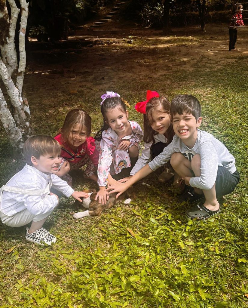 301807200 462450315593782 3106079669071271687 N