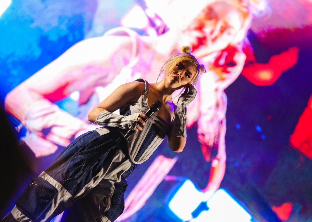 Festival Zepelim Por @fabianojrphoto(2)