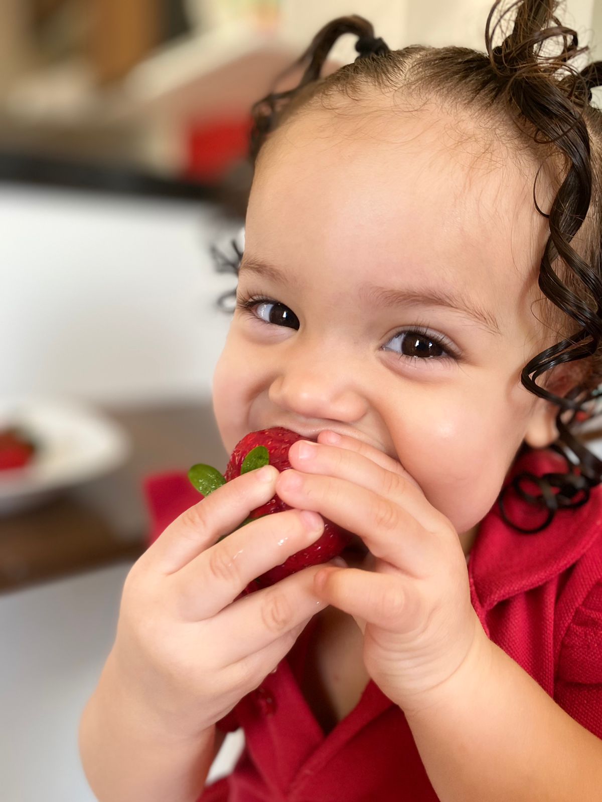 Campo Ouro Verde lança linha de morangos premium selecionados