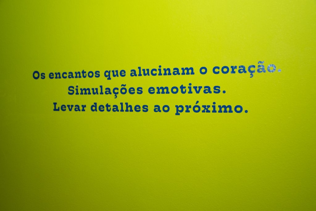 Abertura Da Exposição Jardim Dos Anjos De Francisco De Almeida (11)