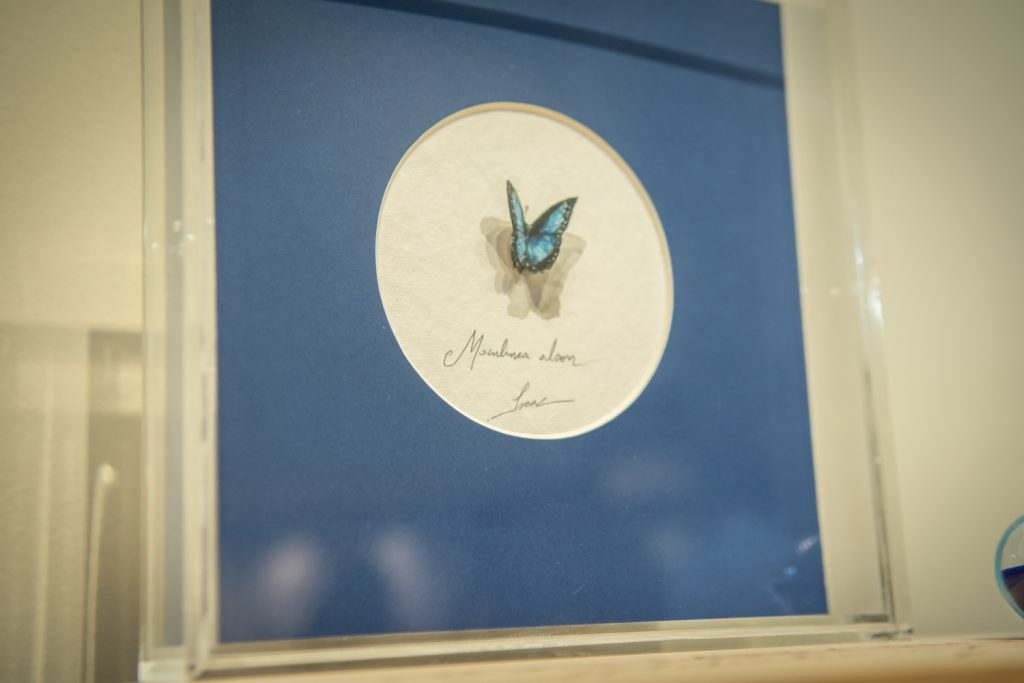 Coquetel De Lançamento Memento Mori De Isaac Furtado Na Galeria B. (27)