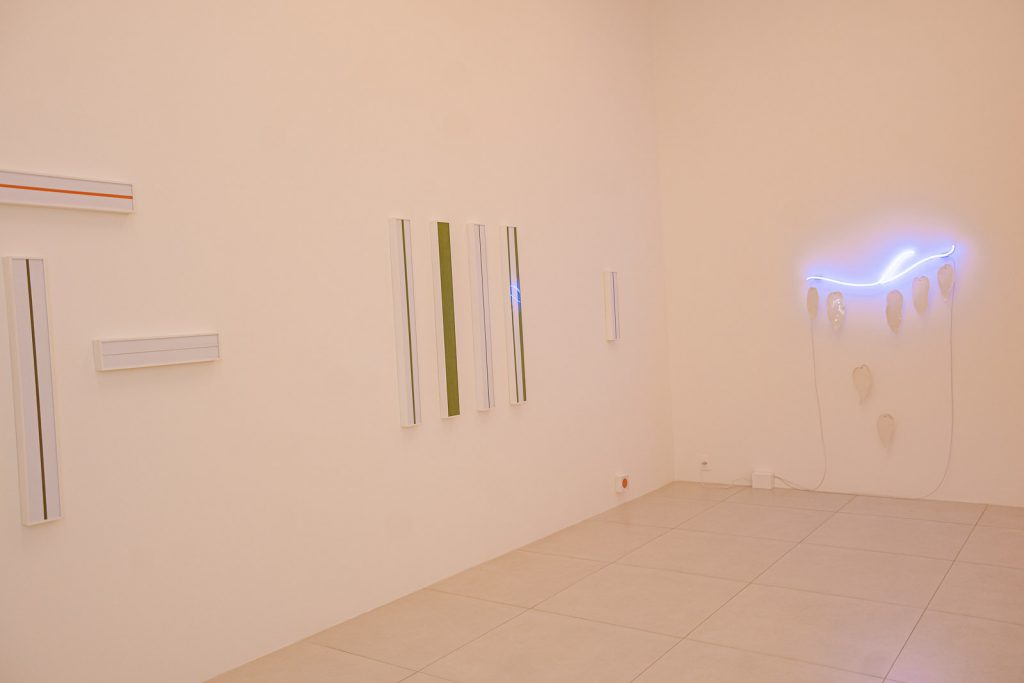 Exposicao Galeria Leonardo Leal (11)