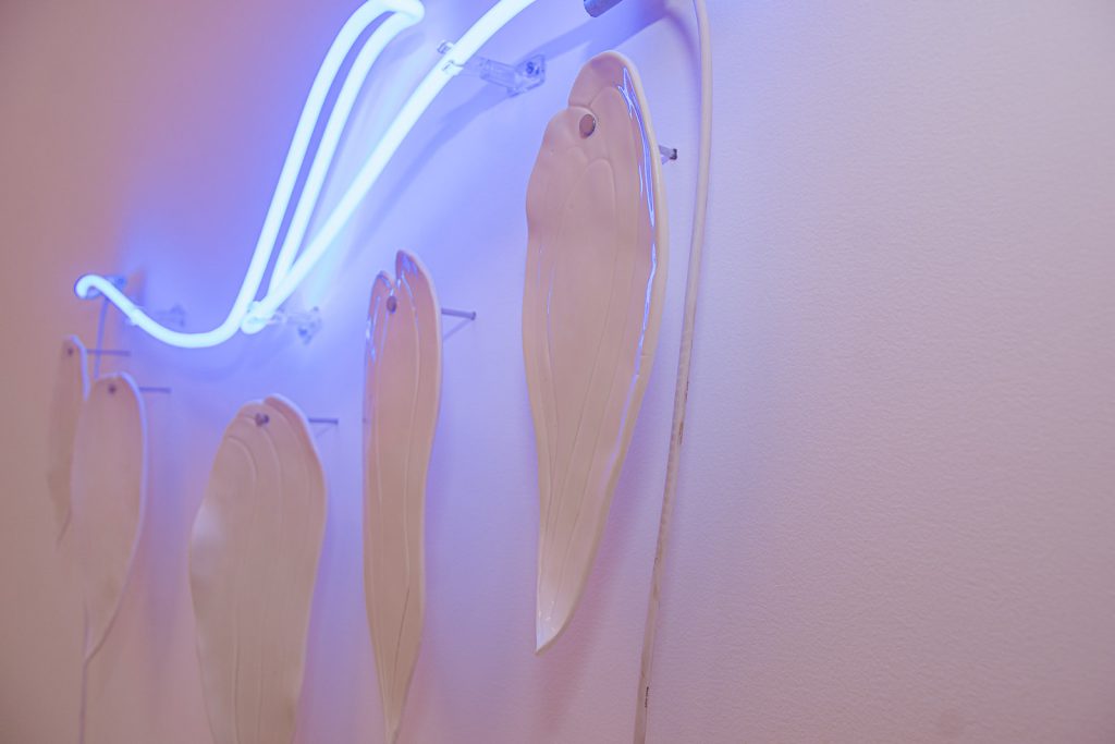 Exposicao Galeria Leonardo Leal (3)