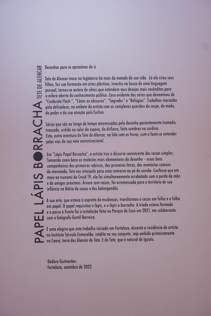 Exposicao Galeria Leonardo Leal (4)