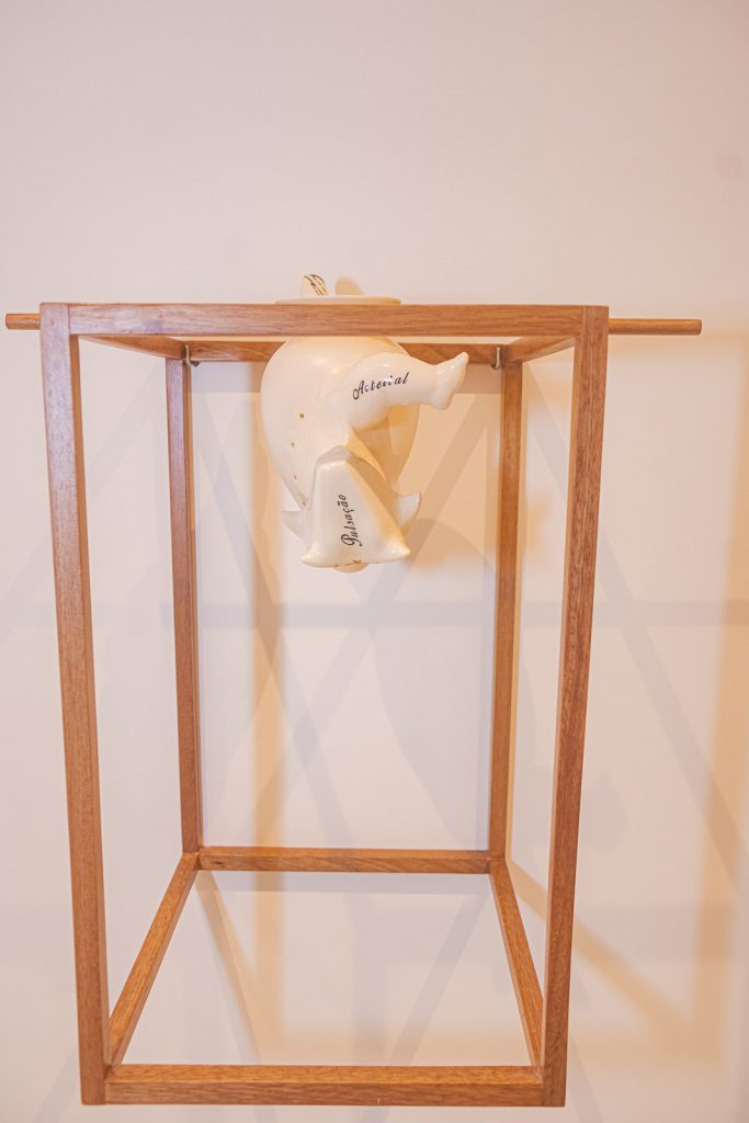 Exposicao Galeria Leonardo Leal (8)