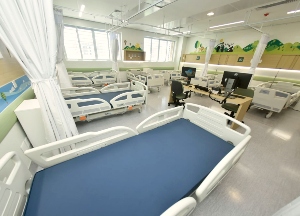 Leitos De Recuperação