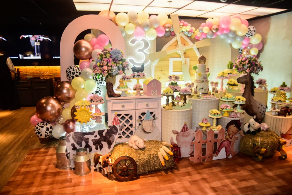 3 Anos De Maria Fernanda (10)