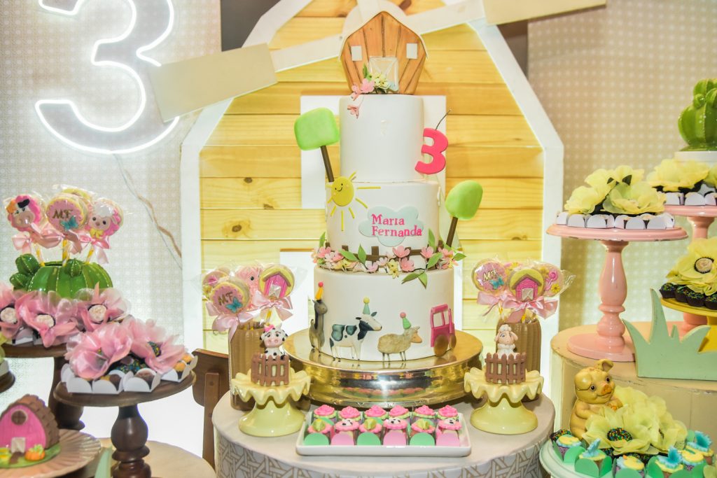 3 Anos De Maria Fernanda (3)