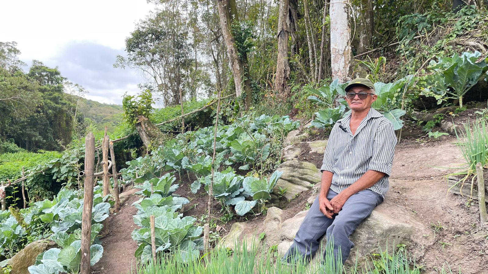 Sustentabilidade e bom uso da terra, cuidando bem do meio ambiente: famílias produzem alimentos orgânicos em Guaramiranga