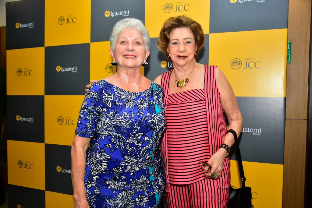 Ilha Alencar E Mazé Campos (5)