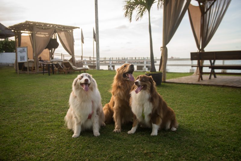 Agito e alto-astral - Deejay Thiago Camargo comanda a animação do domingo (06) no Iate Clube de Fortaleza