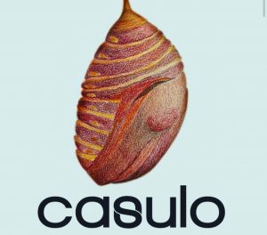 Whatsapp Image 2022 11 17 At 19.02.52