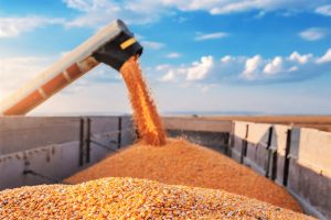 Agro Brasileiro Bate Recorde De Exportação Em Novembro