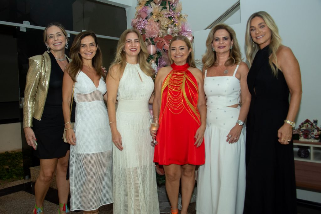 Andréa Fialho, Cristina Brasil, Karmilse Marinho, Ana Cristina Camelo, Germana Wanderley E Célia Magalhães