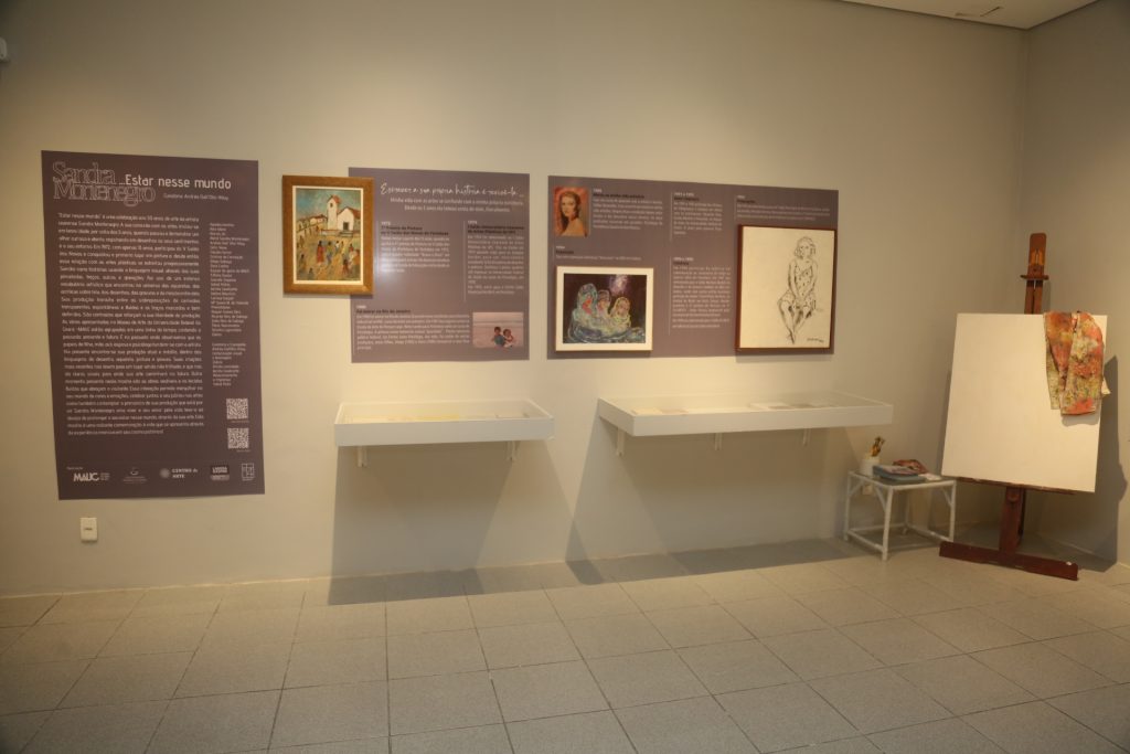 Exposição Estar Nesse Mundo De Sandra Montenegro (5)