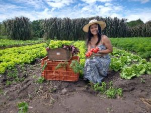 Projeto Territórios Empreendedores Está Orientando Práticas Transformadoras Para A Economia De Ibiapaba Foto Sebrae