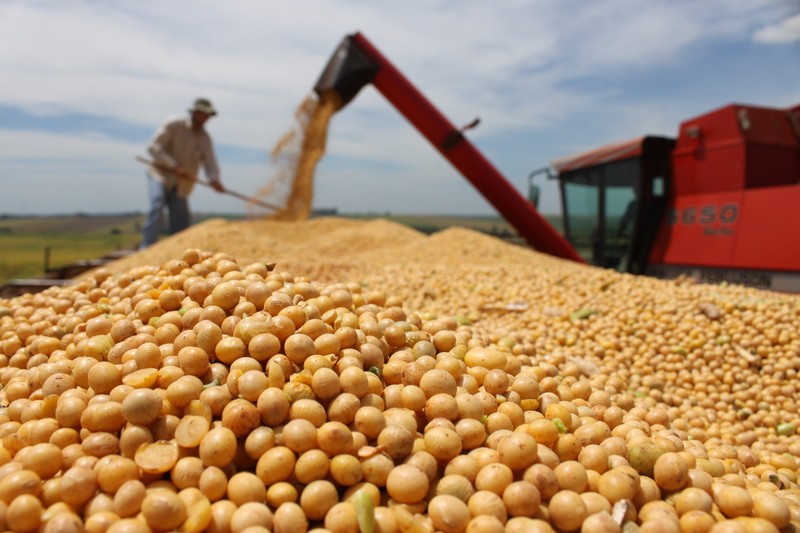 Exportações do agronegócio crescem 3,9% em abril e atingem recorde de US$ 15,2 bilhões