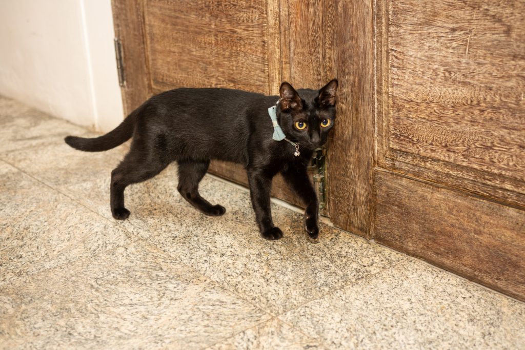 Aniversário De Mariléa Browne (8)