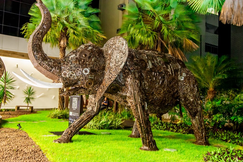 Exposição Cultural Simec 50 Anos (16)