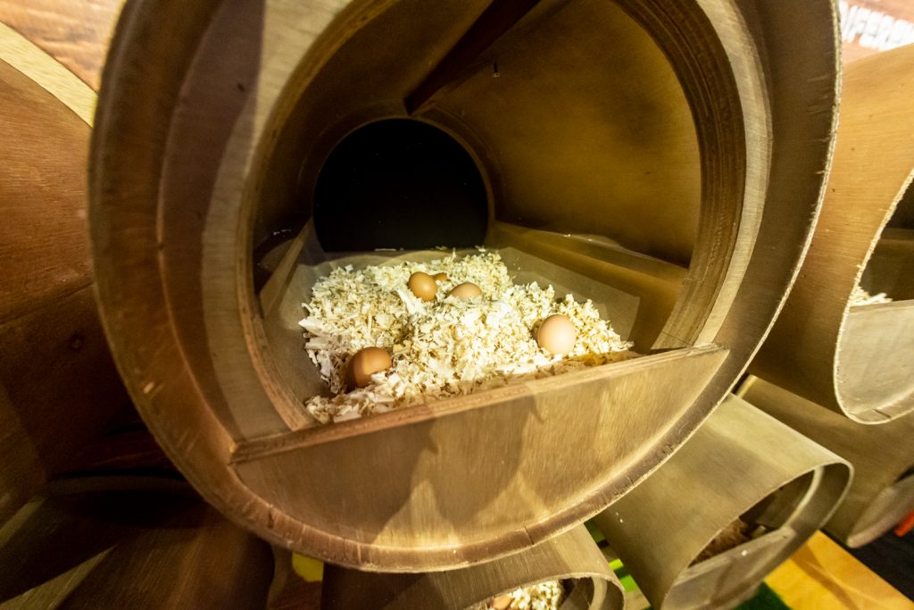 Festival Costume Gourmet. Arte E Cultura (2)