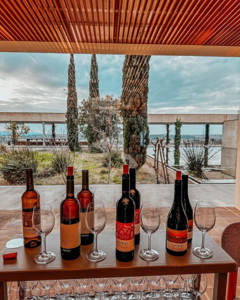 330665065 721751612856462 8653581866928279527 N