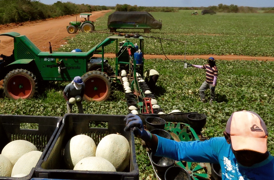 Produto Interno Bruto cresce 2,5% em fevereiro