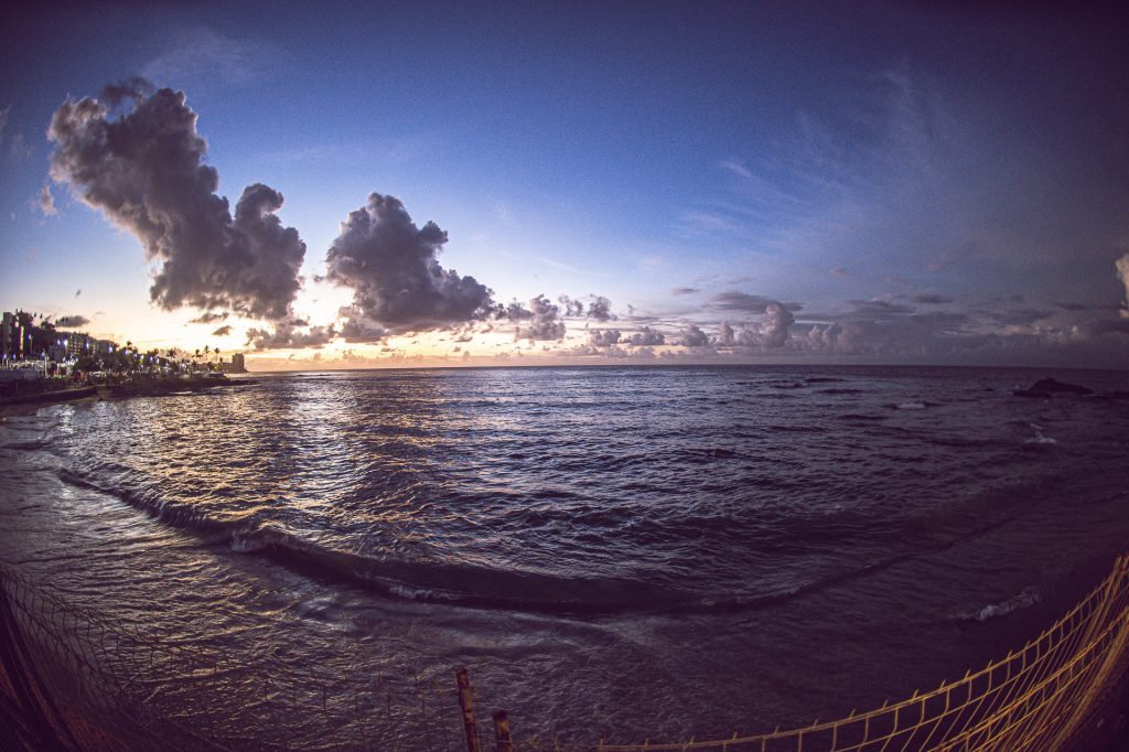 Camarotesalvador2023 18fev 4910