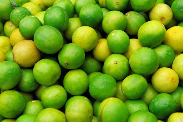 Ceará exportará limão para o Canadá