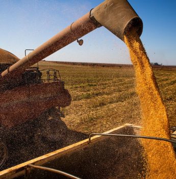 Produção de grãos pode chegar a 358,6 milhões de toneladas