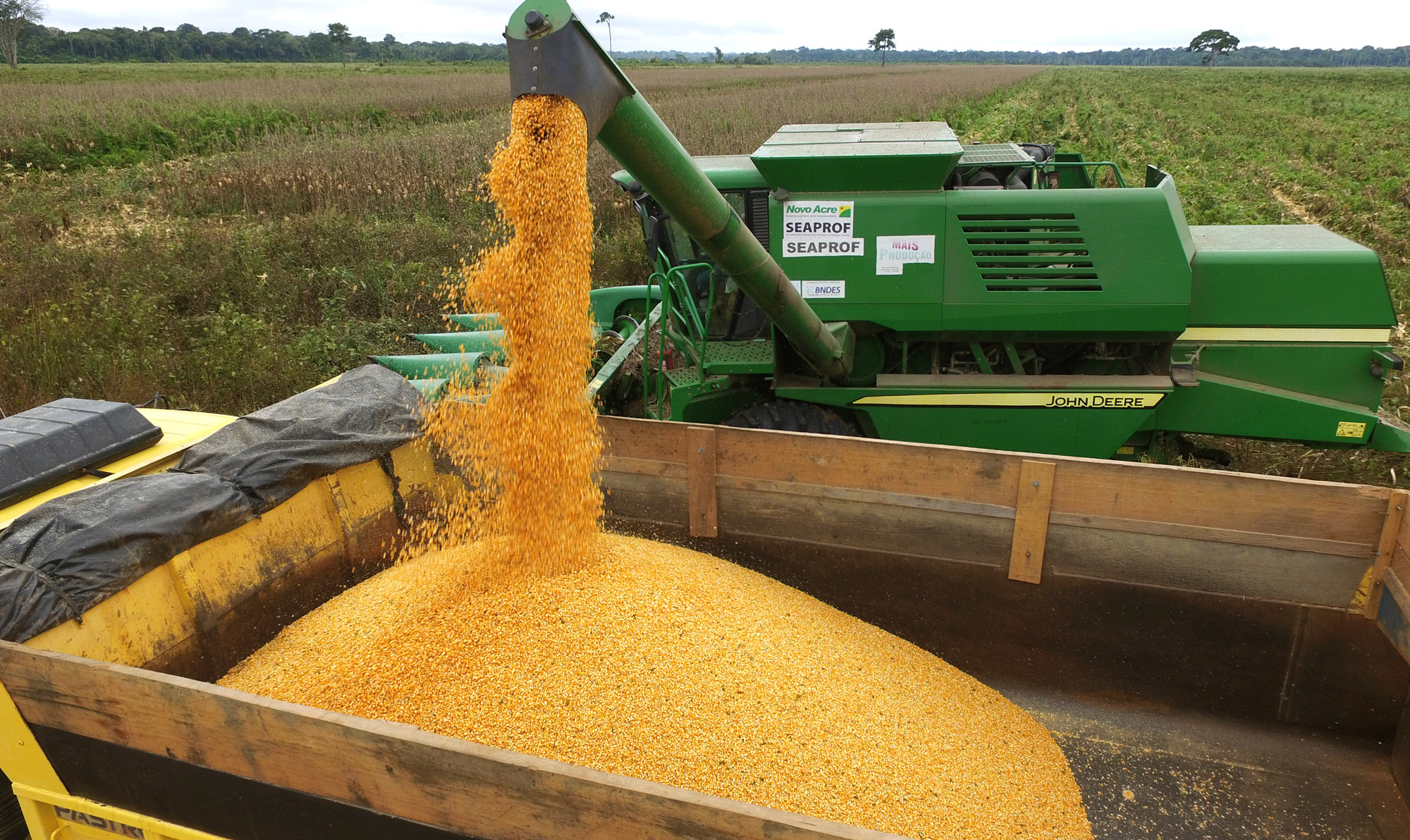 Após 6 anos, Conab retoma política de estoques públicos de alimentos