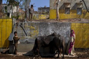 Whatsapp Image 2023 03 07 At 11.20.45