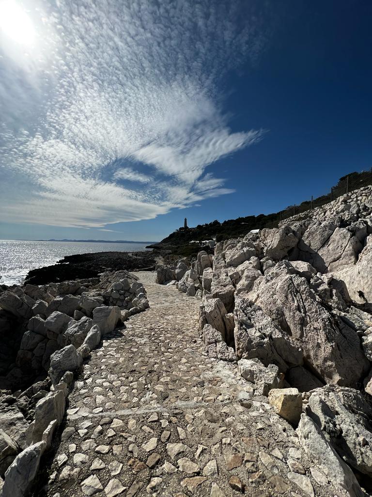 Whatsapp Image 2023 03 31 At 05.54.36