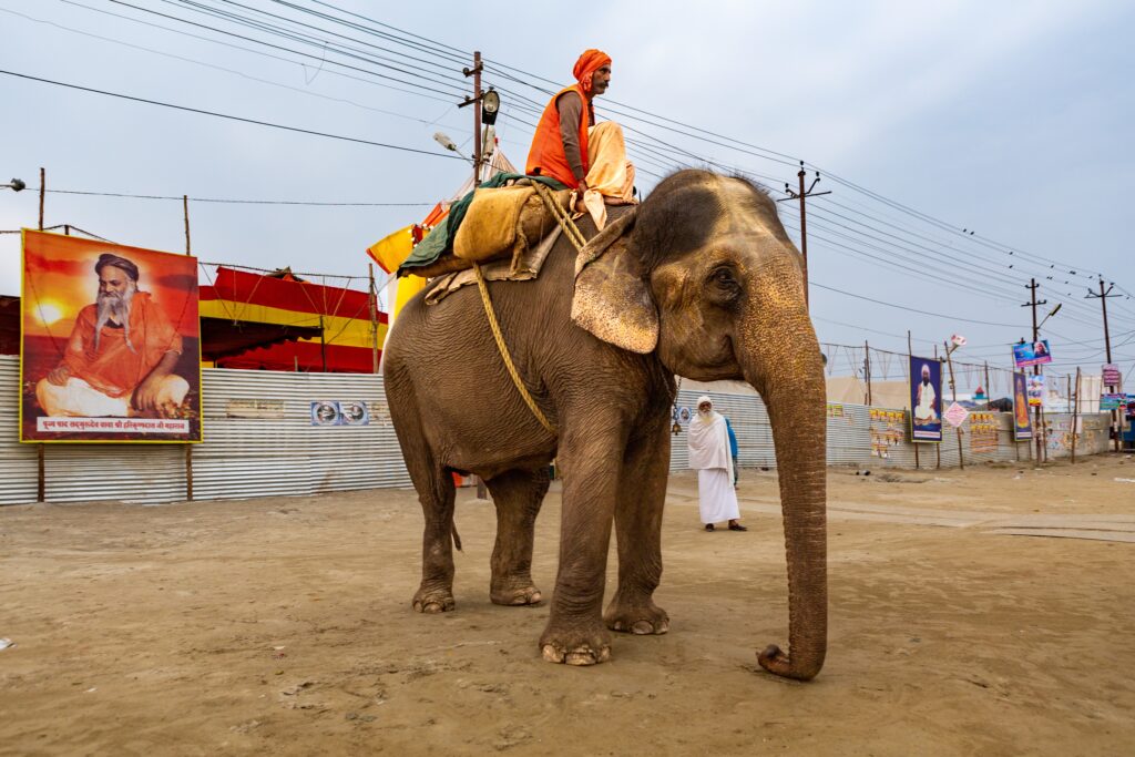 0 Foto Da Exposicao Fragmentos De Viagem C