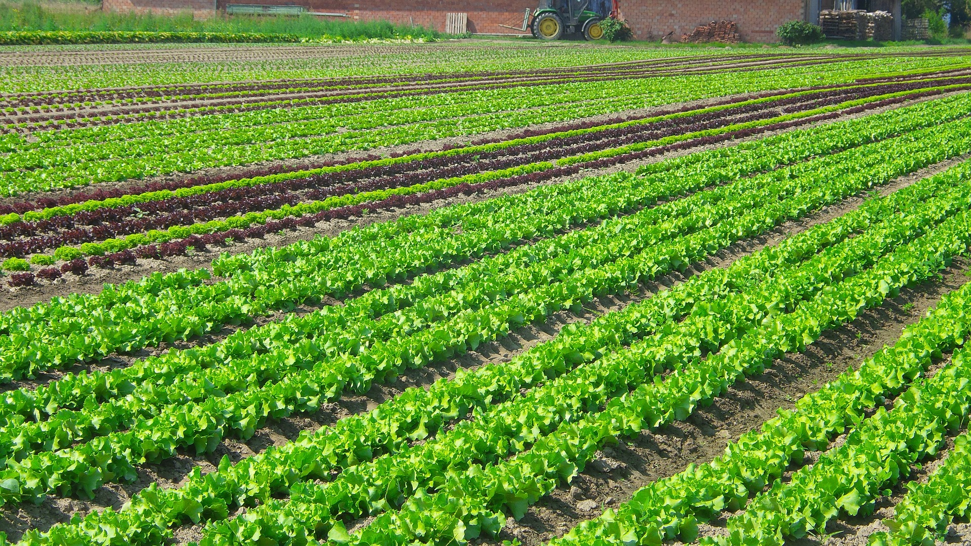 Liberação do crédito rural alcança R$ 267 bilhões em nove meses