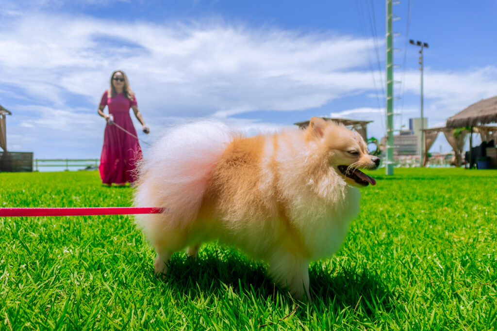 Domingo No Convés Iate Clube De Fortaleza (21)