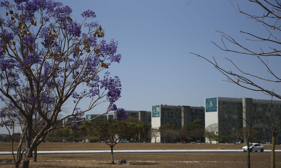 Cai a participação de mulheres em cargos no governo federal