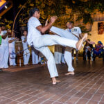 Grupo Capoeira Brasil (1)