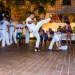 Grupo Capoeira Brasil (11)