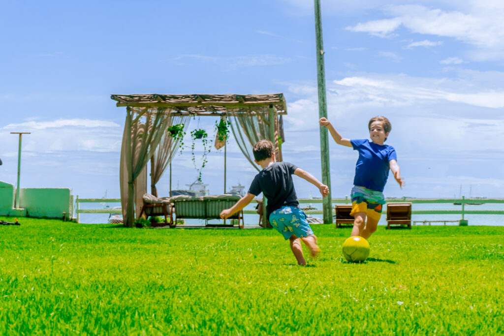 Henrique E Guilherme Carneiro (1)
