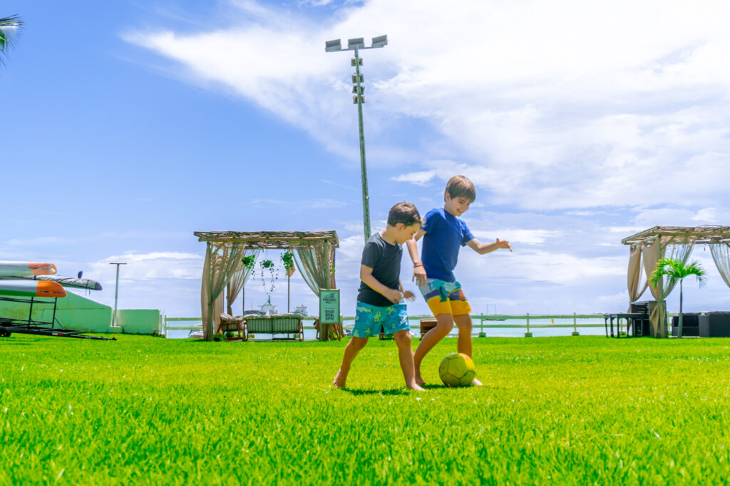 Henrique E Guilherme Carneiro (2)