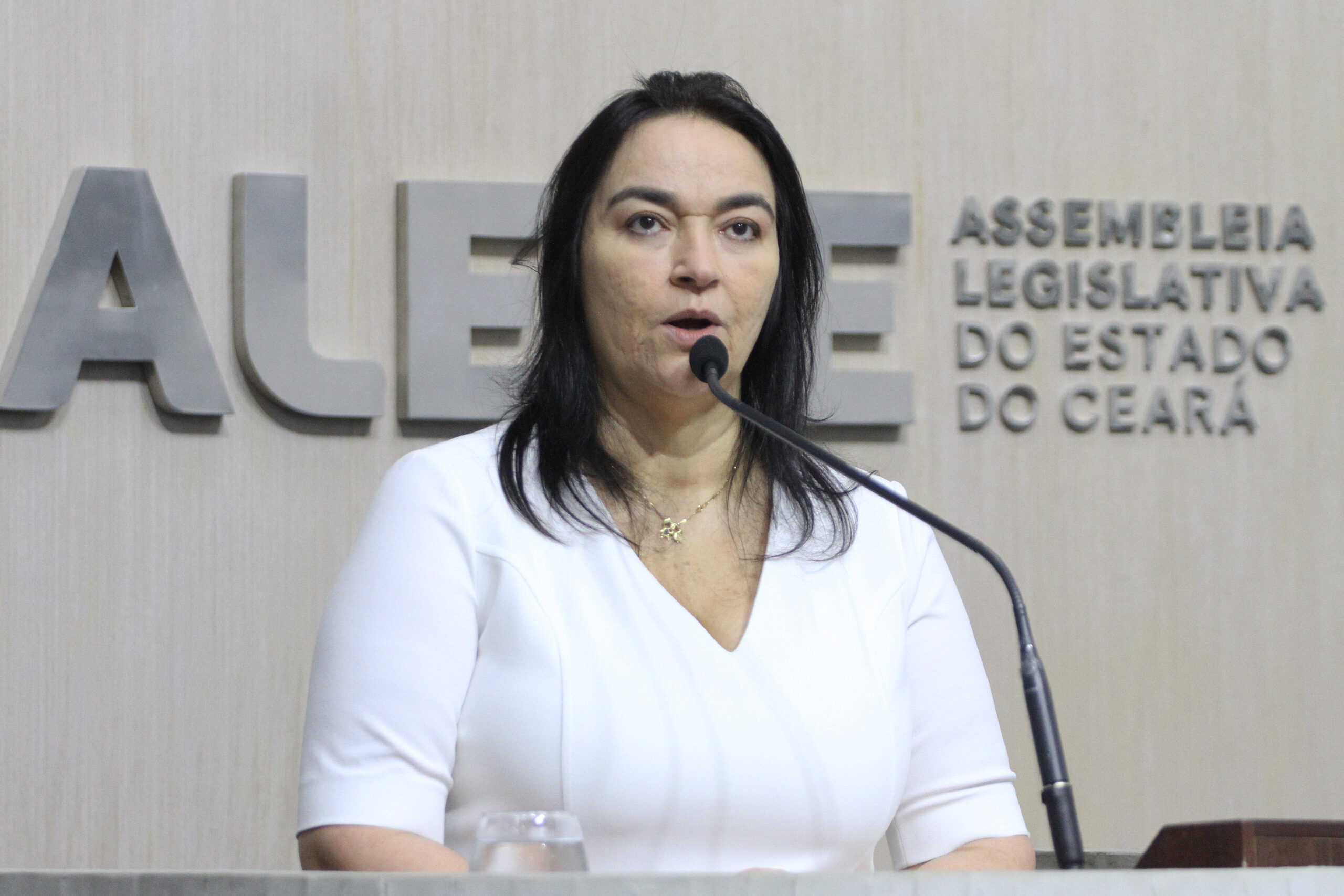 Dra. Silvana tece elogios a Evandro Leitão e diz que votaria nele no 2º turno caso venha a ser candidato a prefeito de Fortaleza em 2024