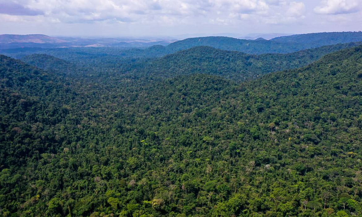 EUA anunciam US$ 500 milhões para Fundo Amazônia em cinco anos