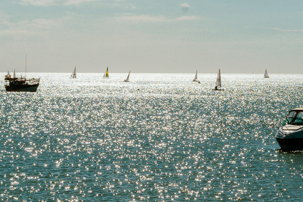 Regata Comodoro (26)