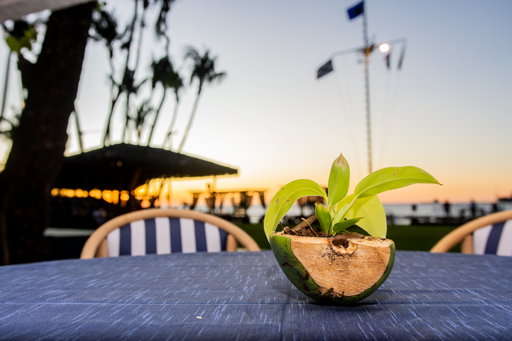 Yuri, Mari, Mariana E Dom Marinho (4)