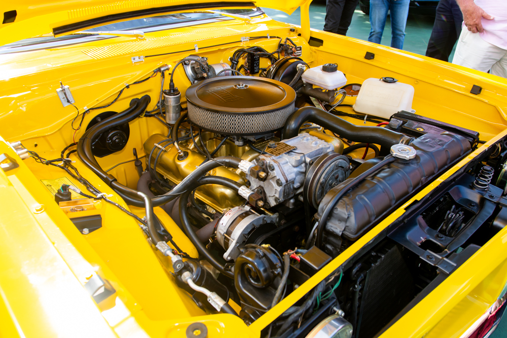 10 Anos Do Grupo Viaturas (6)