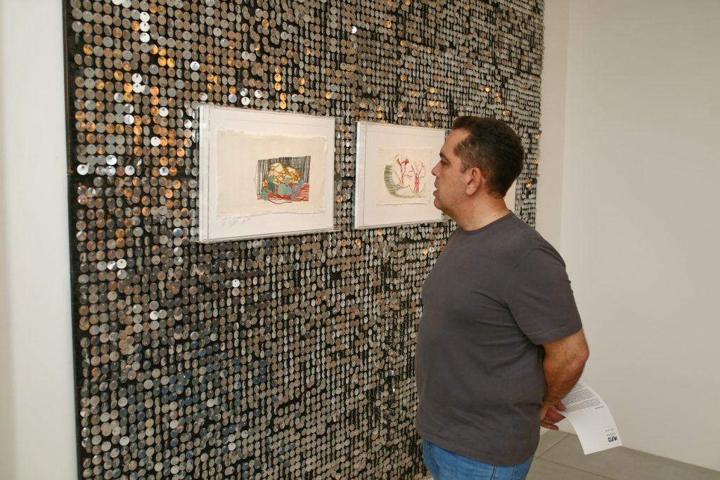 Exposição De Arte Cecilia Bichucher (12)