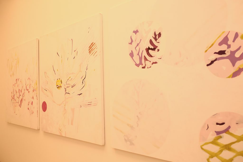 Exposição De Arte Cecilia Bichucher (9)